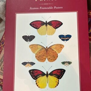 AMERICAN MUSEUM of NATURAL HISTORY PRINTS 16 Frameable Posters 10 x 15 Inches